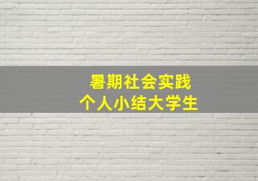 暑期社会实践个人小结大学生