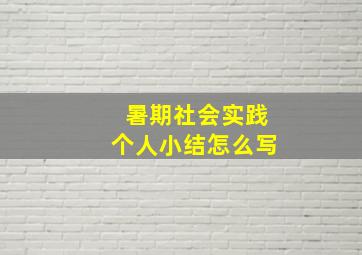 暑期社会实践个人小结怎么写