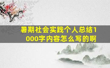 暑期社会实践个人总结1000字内容怎么写的啊