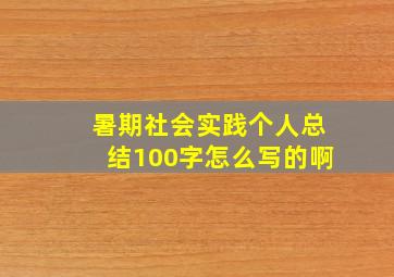 暑期社会实践个人总结100字怎么写的啊