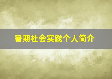 暑期社会实践个人简介