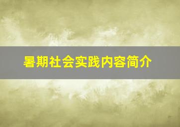 暑期社会实践内容简介