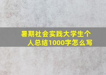 暑期社会实践大学生个人总结1000字怎么写