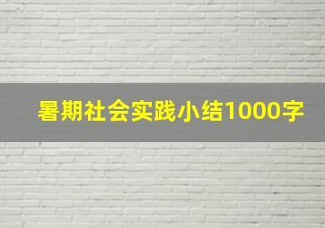 暑期社会实践小结1000字