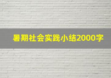 暑期社会实践小结2000字