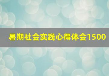 暑期社会实践心得体会1500