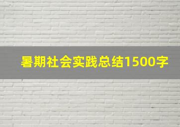 暑期社会实践总结1500字