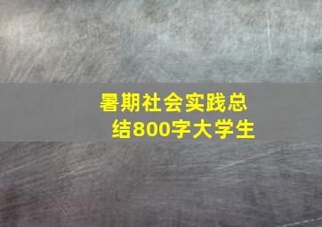 暑期社会实践总结800字大学生