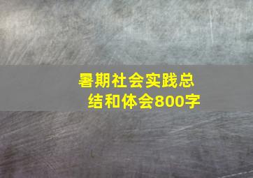 暑期社会实践总结和体会800字