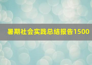 暑期社会实践总结报告1500