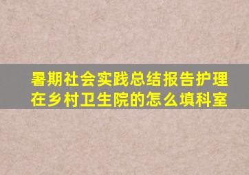 暑期社会实践总结报告护理在乡村卫生院的怎么填科室