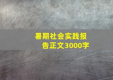 暑期社会实践报告正文3000字