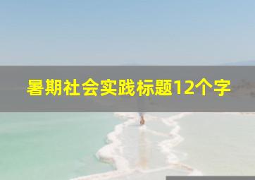 暑期社会实践标题12个字