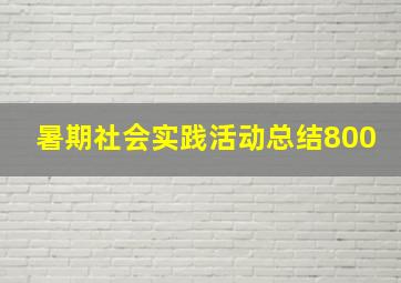 暑期社会实践活动总结800