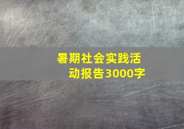 暑期社会实践活动报告3000字