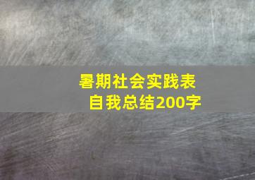 暑期社会实践表自我总结200字