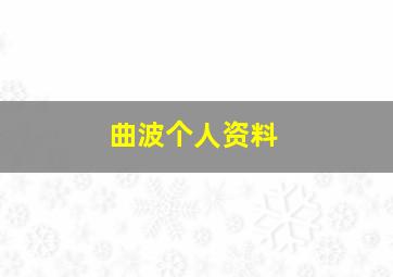 曲波个人资料