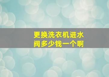 更换洗衣机进水阀多少钱一个啊