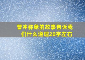 曹冲称象的故事告诉我们什么道理20字左右