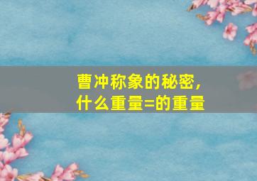 曹冲称象的秘密,什么重量=的重量