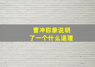 曹冲称象说明了一个什么道理