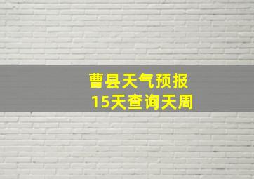 曹县天气预报15天查询天周