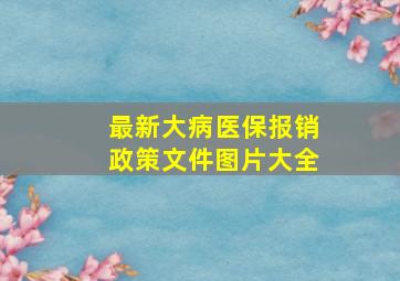 最新大病医保报销政策文件图片大全