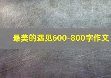 最美的遇见600-800字作文