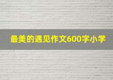 最美的遇见作文600字小学