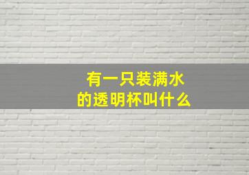 有一只装满水的透明杯叫什么