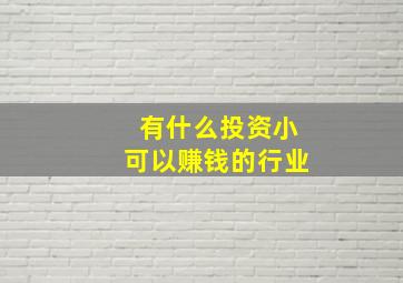 有什么投资小可以赚钱的行业