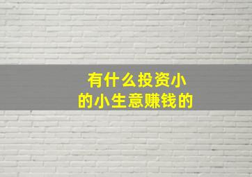 有什么投资小的小生意赚钱的