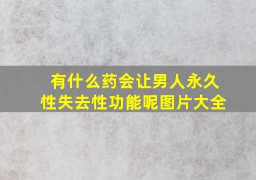 有什么药会让男人永久性失去性功能呢图片大全