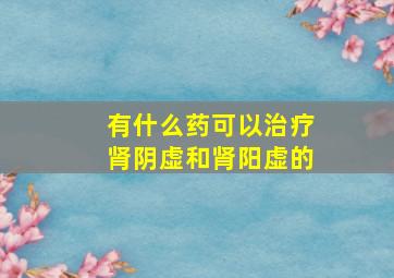 有什么药可以治疗肾阴虚和肾阳虚的