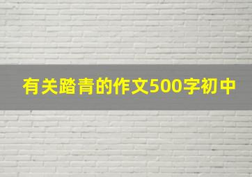 有关踏青的作文500字初中