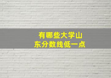 有哪些大学山东分数线低一点