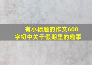 有小标题的作文600字初中关于假期里的趣事