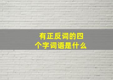 有正反词的四个字词语是什么