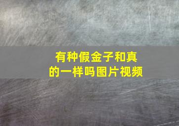 有种假金子和真的一样吗图片视频