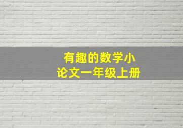 有趣的数学小论文一年级上册