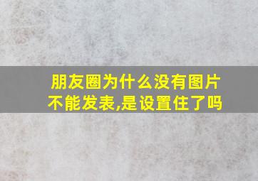 朋友圈为什么没有图片不能发表,是设置住了吗