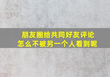 朋友圈给共同好友评论怎么不被另一个人看到呢