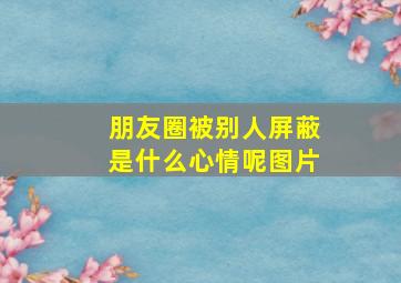 朋友圈被别人屏蔽是什么心情呢图片