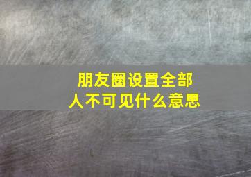 朋友圈设置全部人不可见什么意思