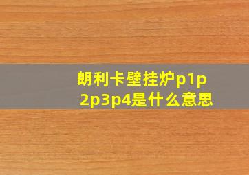 朗利卡壁挂炉p1p2p3p4是什么意思