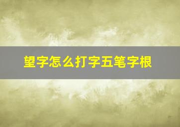 望字怎么打字五笔字根