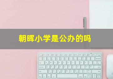 朝晖小学是公办的吗