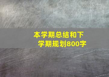 本学期总结和下学期规划800字