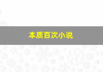 本质百次小说