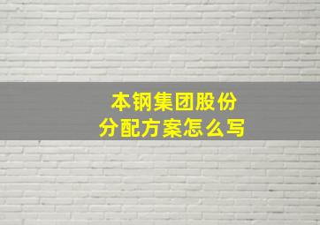 本钢集团股份分配方案怎么写